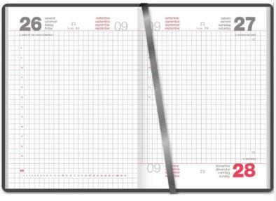 AGENDA GIORNO S/D IMPRUNETA QUADRETTI CANGINI 10,5X14,8M 206WU ASS.