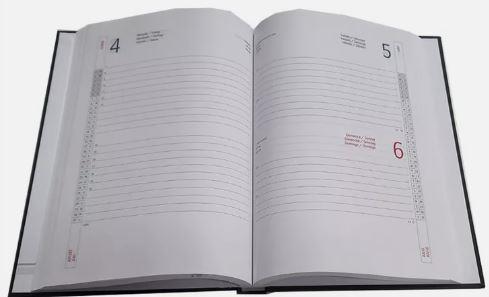AGENDA GIORNALIERA DELTA 2025 15X21CM ASS. 7136DE