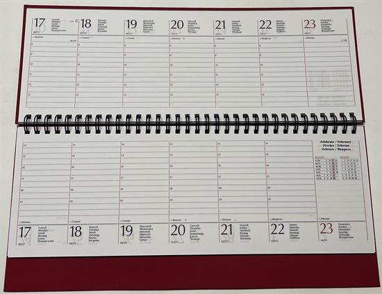 PLANNING 2025 SETT. C/SPIRALE GOMMATO 29,8X10,5CM 23000404 ASS.