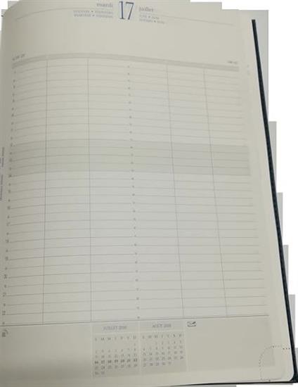 AGENDA GIORNO QUO VADIS JOURNAL29 2025 BLU 21X29,7CM 294122IE